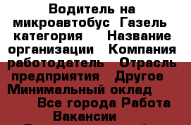 Водитель на микроавтобус "Газель" категория D › Название организации ­ Компания-работодатель › Отрасль предприятия ­ Другое › Минимальный оклад ­ 25 000 - Все города Работа » Вакансии   . Владимирская обл.,Радужный г.